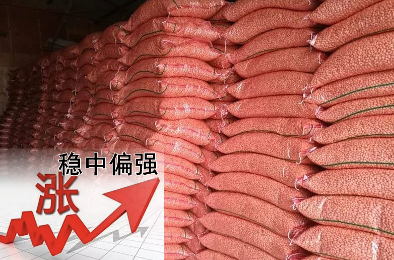 花生價(jià)格持續(xù)偏強(qiáng)，需要訂貨的請(qǐng)?zhí)崆鞍才?></a></div>
                        <div   id=